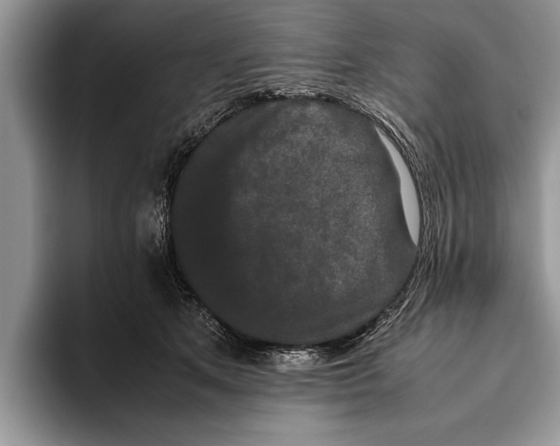 X0000093460513200711091552