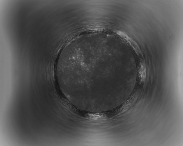 X0000093460516200711091552