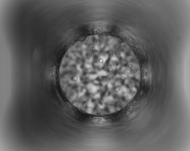 X0000093460519200711091552