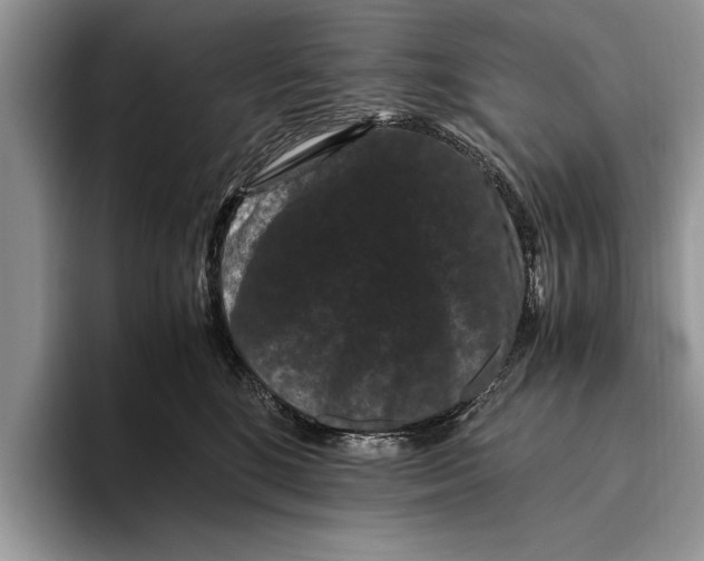 X0000093460520200711091552