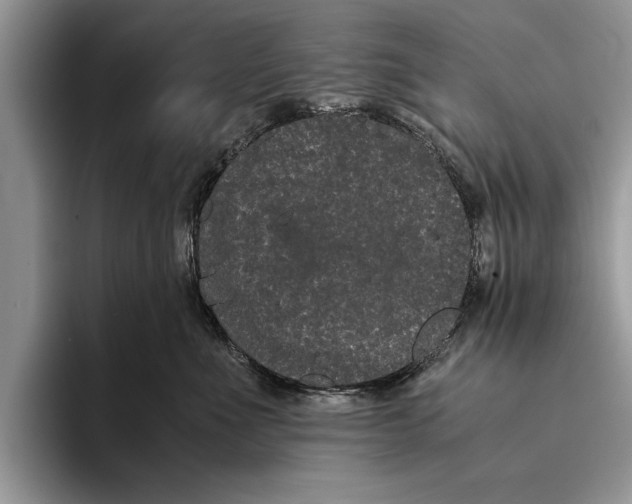 X0000093460523200711091551