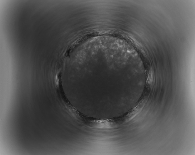 X0000093460524200711091551