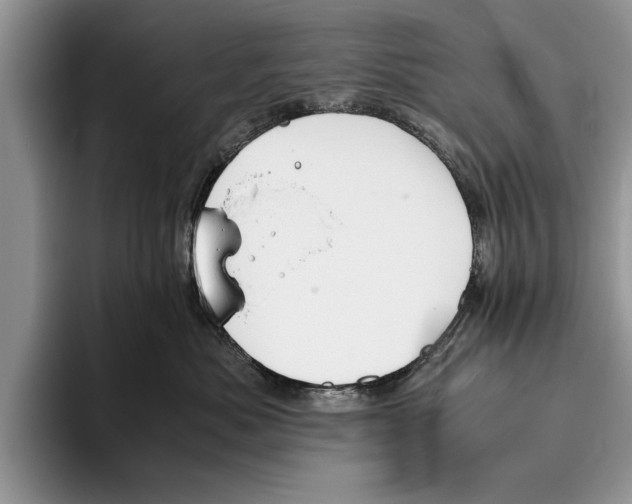 X0000093460525200711091551