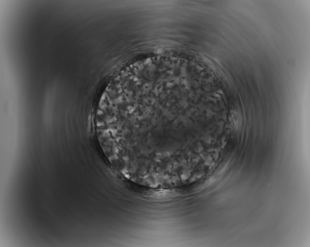 X0000093460527200711091551