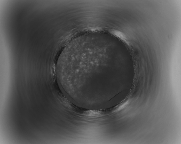 X0000093460528200711091551