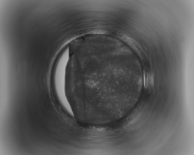 X0000093460531200711091551