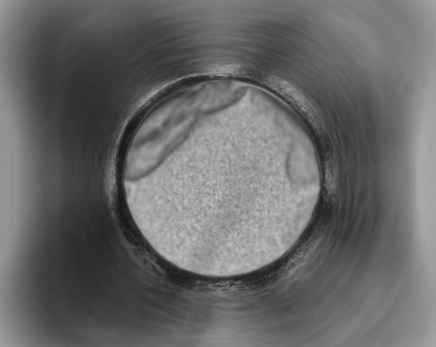 X0000093460532200711091551