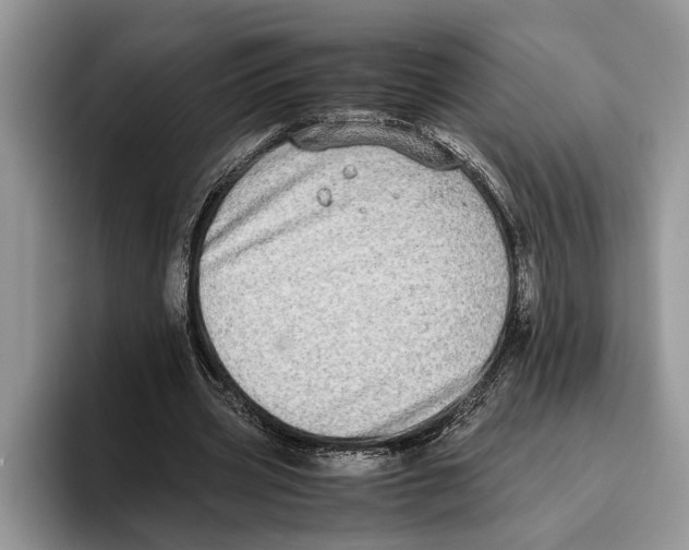 X0000093460533200711091551