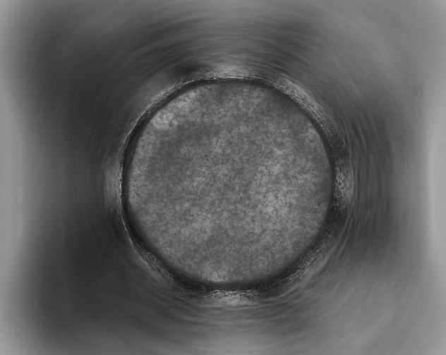 X0000093460534200711091551