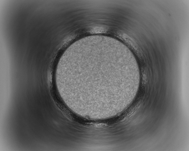 X0000093460539200711091551