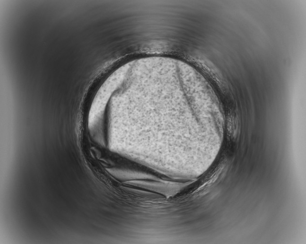 X0000093460540200711091551