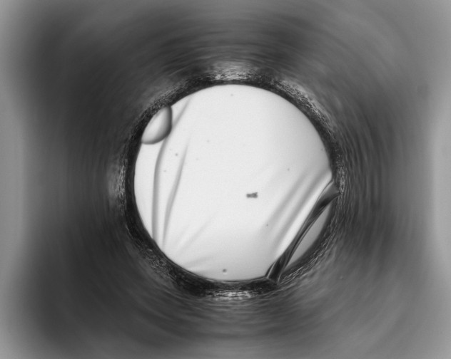 X0000093460543200711091551