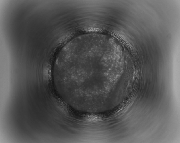 X0000093460547200711091551