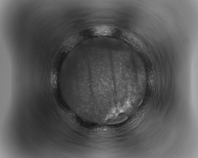 X0000093460551200711091551