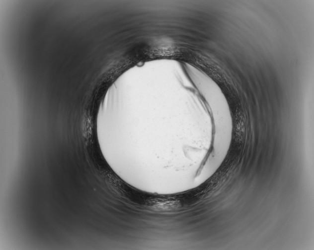 X0000093460555200711091551