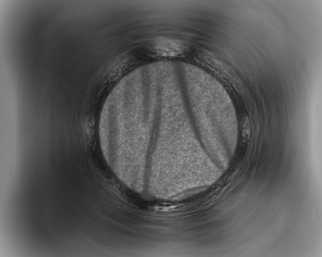 X0000093460559200711091551