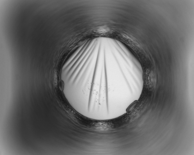 X0000093460562200711091551