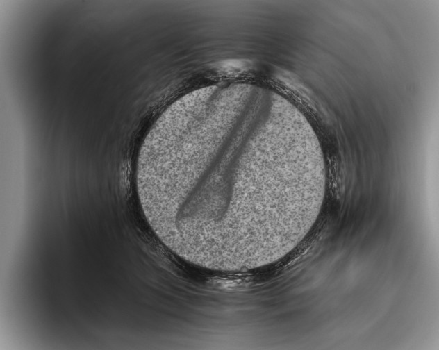 X0000093460563200711091551