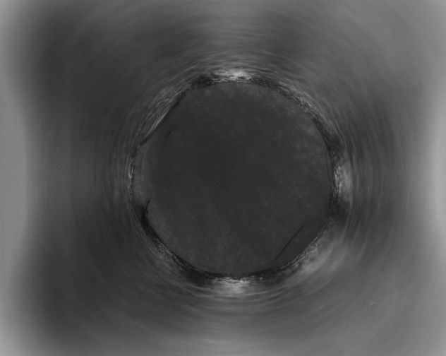 X0000093460570200711091551