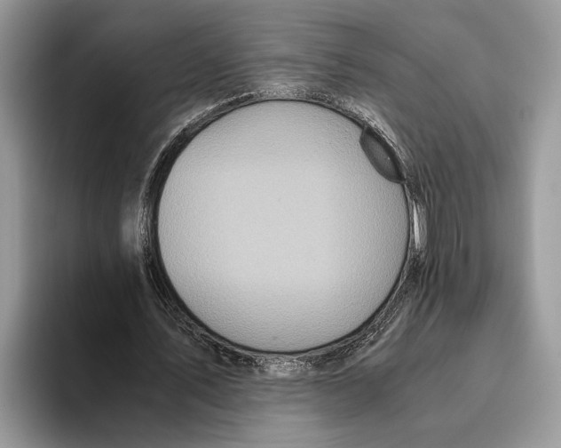 X0000093460579200711091551