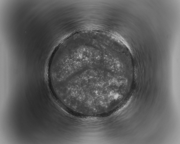 X0000093460581200711091551