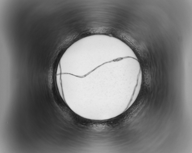 X0000093460586200711091551