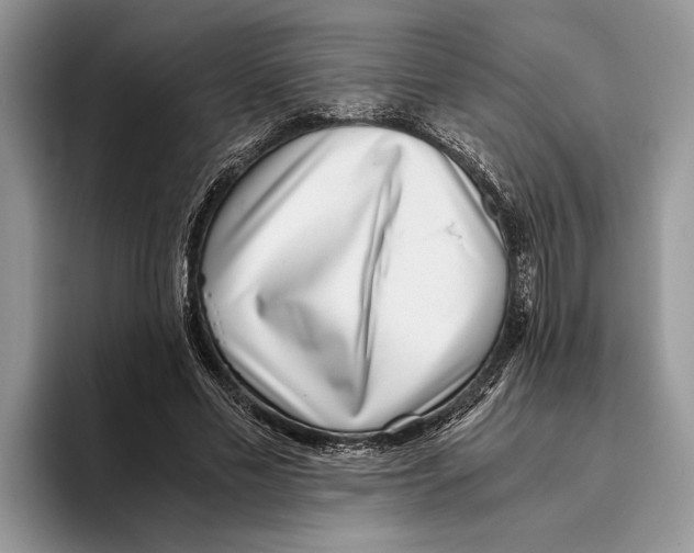 X0000093460589200711091551