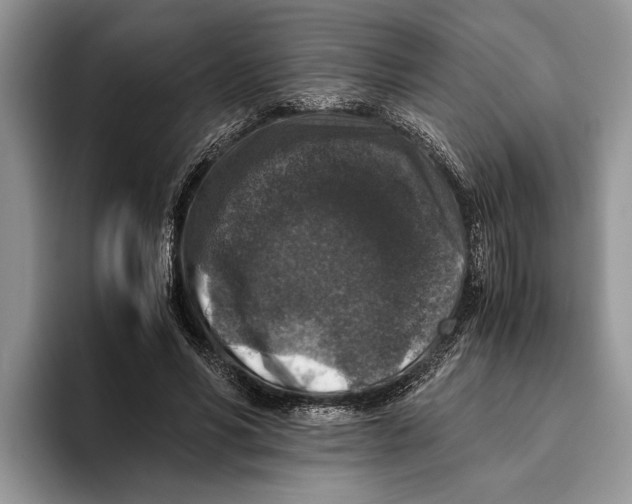 X0000093460590200711091551