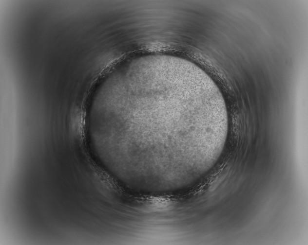 X0000093460592200711091551