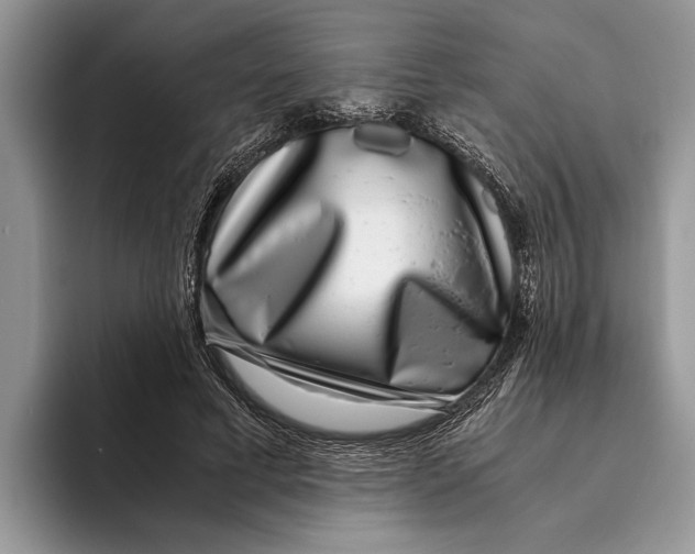 X0000093460593200711091551