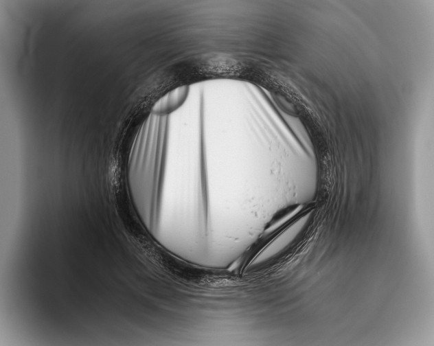 X0000093460597200711091551