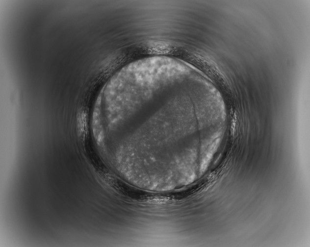 X0000093460598200711091551