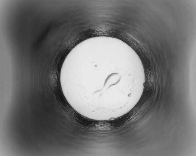 X0000093460603200711091551