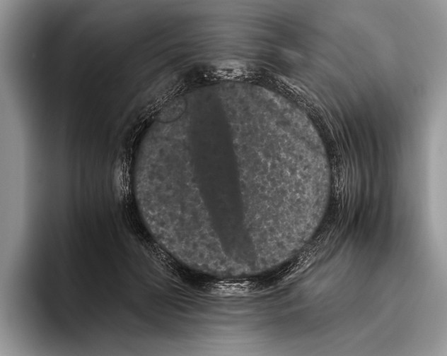 X0000093460606200711091551