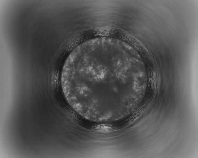 X0000093460610200711091550