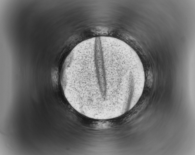 X0000093460612200711091550