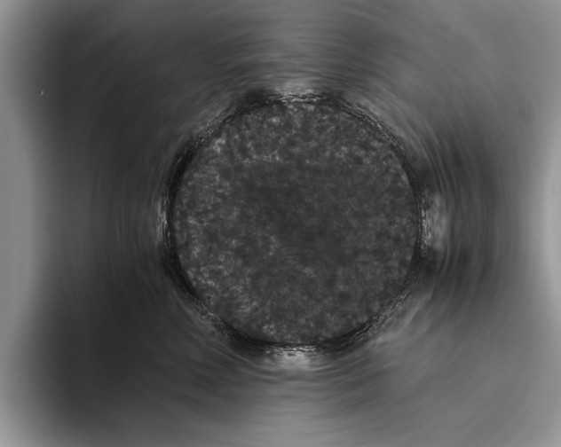X0000093460618200711091550