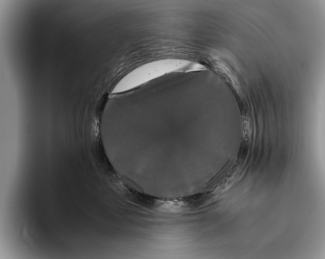 X0000093460621200711091550