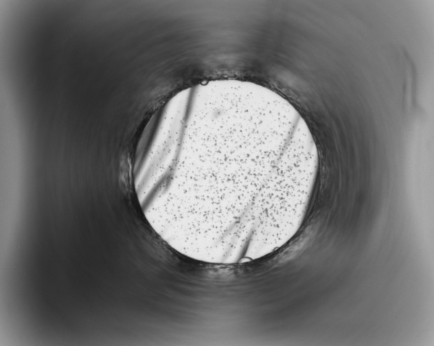 X0000093460624200711091550