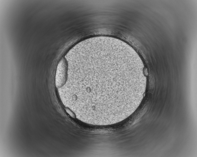X0000093460625200711091550