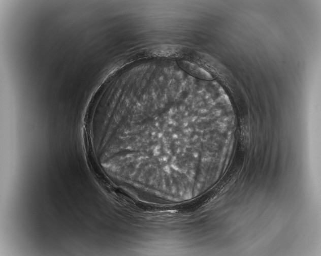 X0000093460626200711091550
