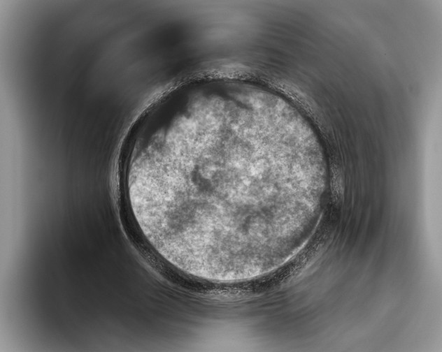 X0000093460630200711091550