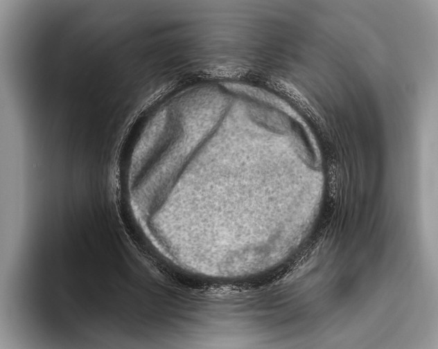 X0000093460634200711091550