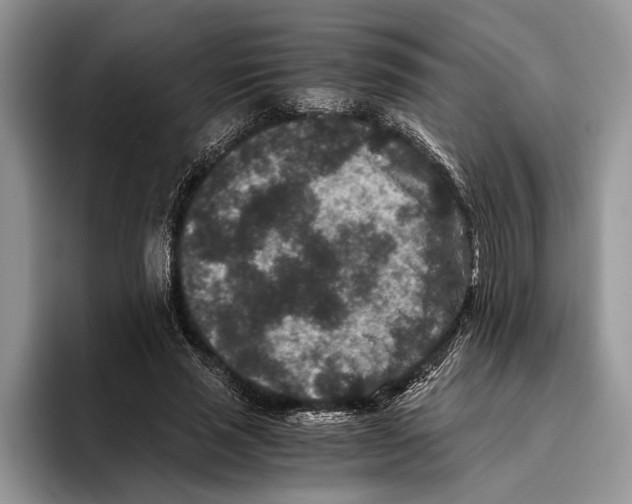 X0000093460637200711091550