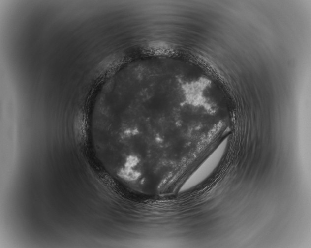 X0000093460643200711091550