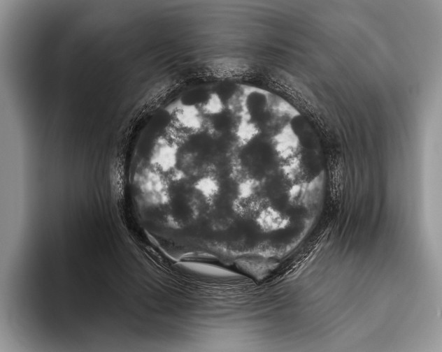 X0000093460644200711091550
