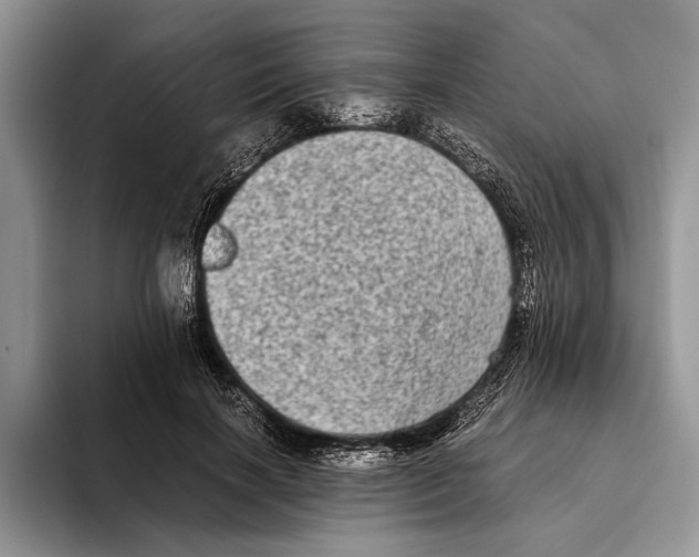X0000093460646200711091550