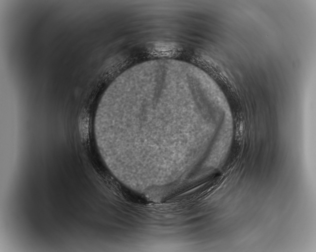 X0000093460647200711091550
