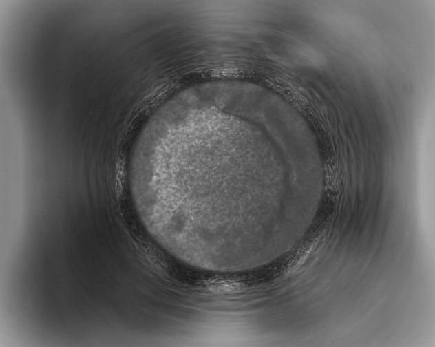 X0000093460648200711091550