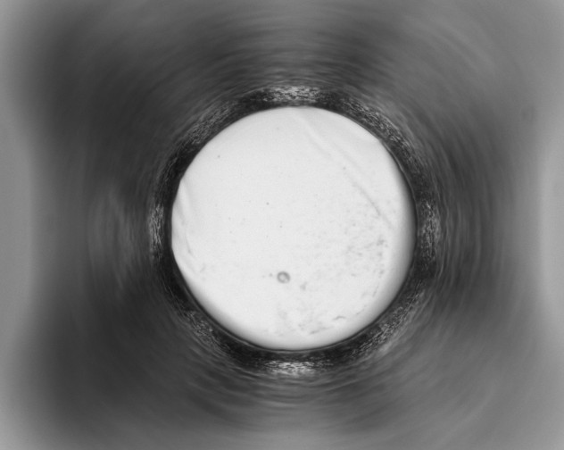 X0000093460649200711091550